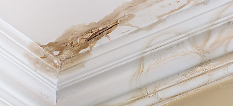 Ceiling Water Leak Repair: Your Complete Guide to Professional Water Damage Solutions