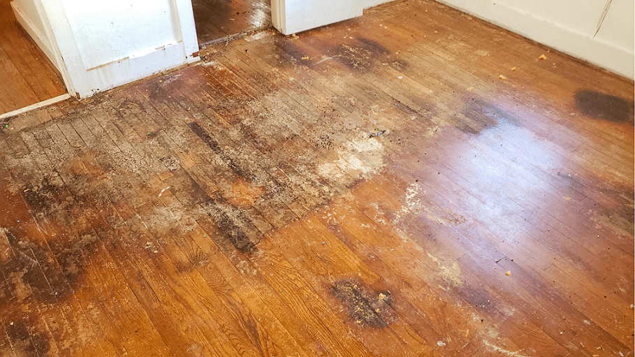 Protect Your Hardwood Floors: Essential Plumbing Tips to Prevent Water Damage